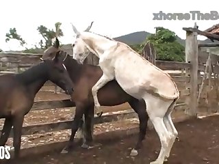 Mind Seeing Her Get It On With The Animals From Time To