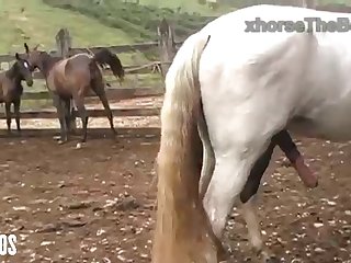 Mind Seeing Her Get It On With The Animals From Time To