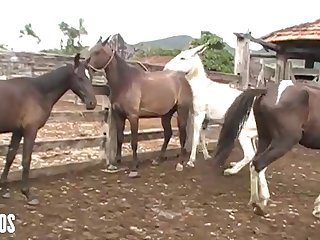 Mind Seeing Her Get It On With The Animals From Time To