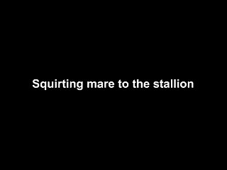Horse Fucks You He Cried Out As He Moved His Cock To