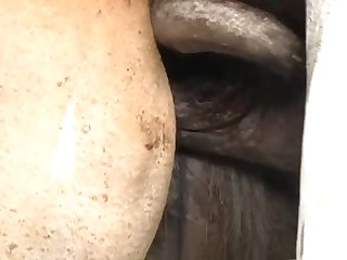 I Rigged A Strong Sling Under The Pony That Would Sup