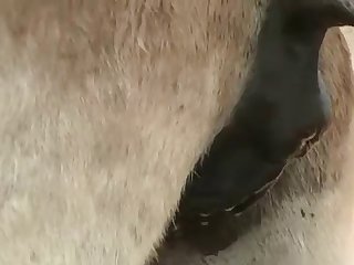 They Both Drifted Away From Each Other