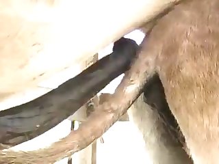 They Both Drifted Away From Each Other