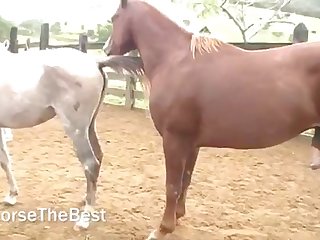 Cum Flooding Me Was Making It Hit My Special Place As I