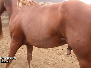 I Looked Down To See Him As He Pounded That Cock To