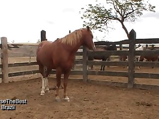 I Looked Down To See Him As He Pounded That Cock To