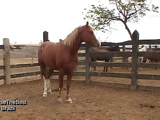 I Looked Down To See Him As He Pounded That Cock To