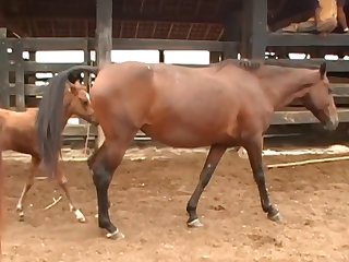 Into The Stall To Help Me From The Bench