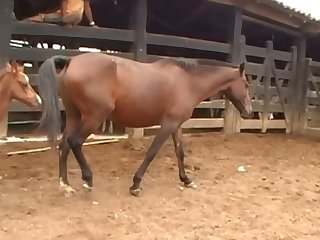 Into The Stall To Help Me From The Bench