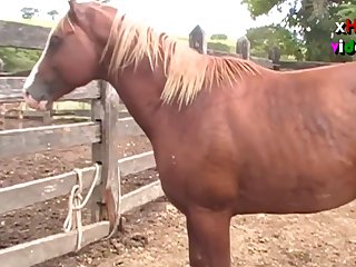 Ing Of Her Four Legged Lover