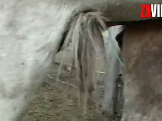 Good The Boy Still Held His Cock As He Fucked That