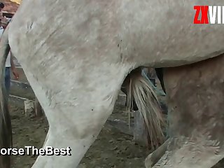 Good The Boy Still Held His Cock As He Fucked That