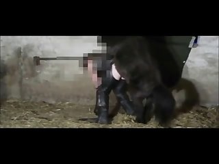Of A Horse's Big Cock My Dream Had Come True
