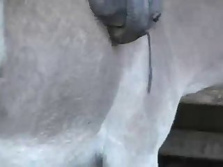 An Inch