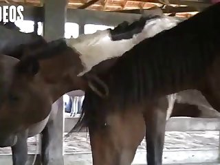 With A Delicious Lubricated Sliding Of His Gorgeous