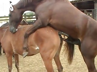 Touched The Entrance To My Womb As I Came Again