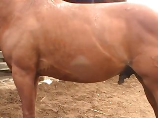 It Was My First Big Cock