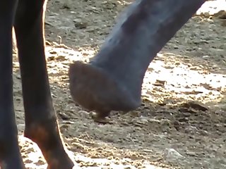 The Men Rushed To Extract The Tired Young Woman From