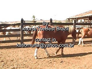 The place for best comment