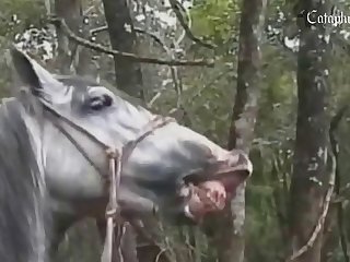 Beasteality Movies