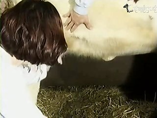 Bfi Donkey And Cow Lovers 001