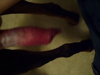 Sexy Dog xxx