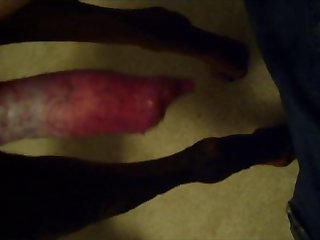 Sexy Dog xxx
