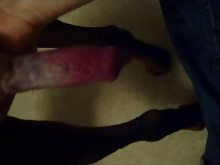 Sexy Dog xxx