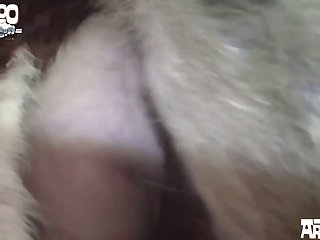 Vixen Boar To The Core (part 5)