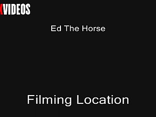 So Full Of Horse Cock