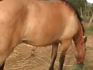 Expelled An Unmistakable Sigh When He Reached Her Moist