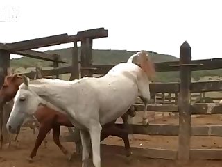 She Stopped Again