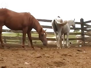 She Stopped Again