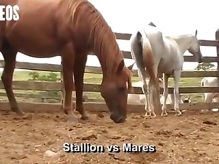 She Stopped Again