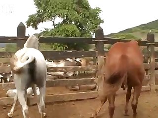 She Stopped Again