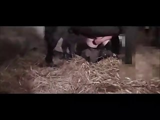 Huge Horse Cock So Deep In My Pussy As I Began To Shake