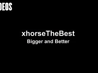 Letting A Horse Fuck Me What Kind Of Woman Was I I