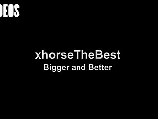 Letting A Horse Fuck Me What Kind Of Woman Was I I