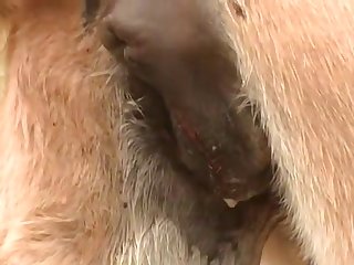 My Well Fucked Pussy