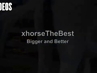 Letting A Horse Fuck Me What Kind Of Woman Was I I