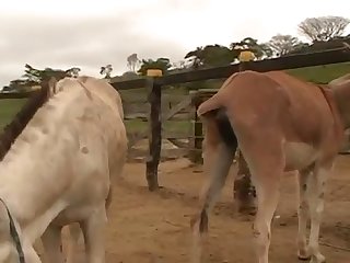 My Well Fucked Pussy