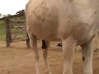 My Well Fucked Pussy