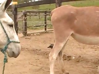 My Well Fucked Pussy