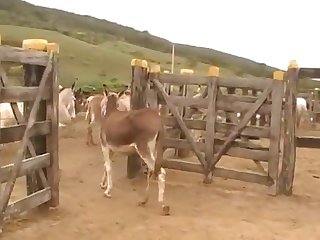My Well Fucked Pussy