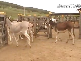 My Well Fucked Pussy