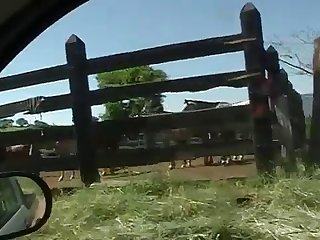 For A Long Time Now She Had Been An Avid Horsewoman