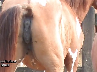 Was So Exciting To See The Color Difference As He