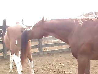 Was So Exciting To See The Color Difference As He