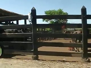 For A Long Time Now She Had Been An Avid Horsewoman