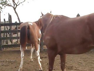 Was So Exciting To See The Color Difference As He